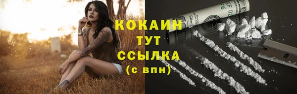мдпв Покачи