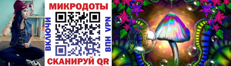 купить закладку  Сураж  Псилоцибиновые грибы мицелий 